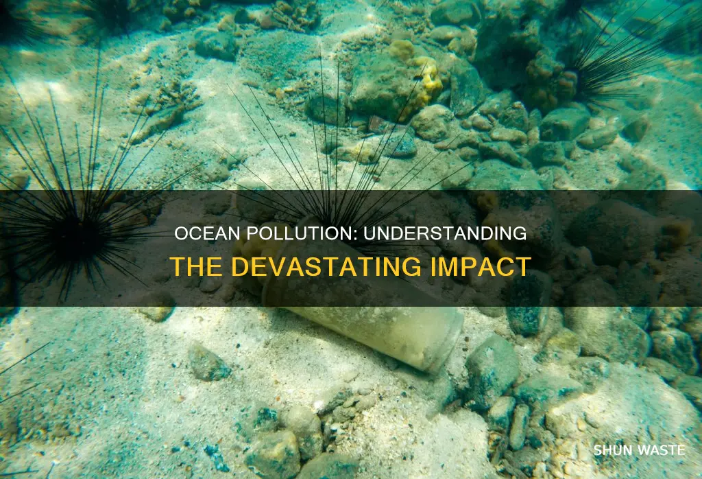 what does ocean pollution do