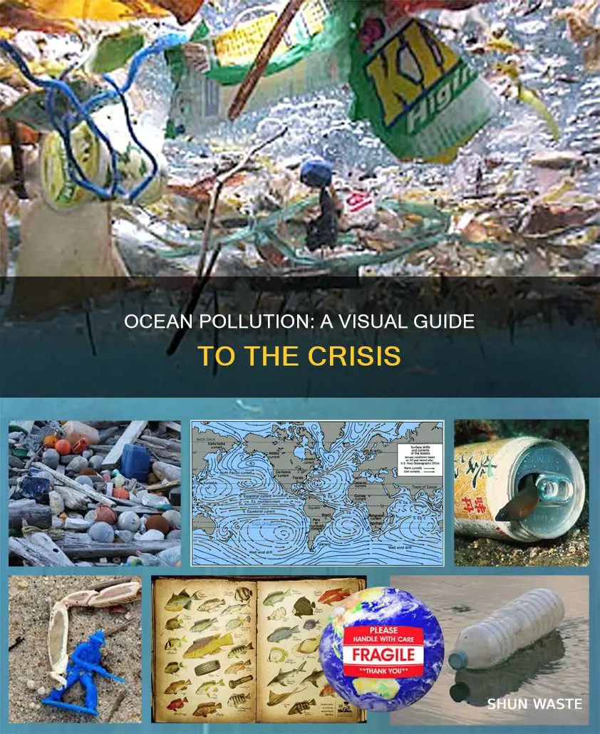what does ocean pollution look like