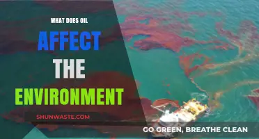 Oil's Environmental Impact: Pollution, Wildlife, Climate, and Ecosystem Destruction