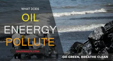Oil Energy Pollution: The Dark Side of Fossil Fuels