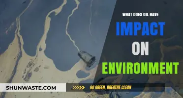 Oil's Environmental Impact: Pollution, Climate Change, and Ecosystem Destruction Explained