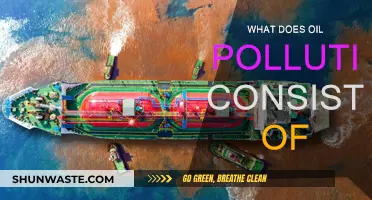Understanding Oil Pollution: Its Nature and Impact