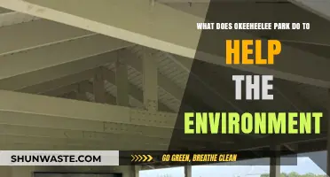 Okeeheelee Park's Eco-Friendly Initiatives: Protecting Nature and Promoting Sustainability