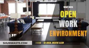 Exploring the Benefits and Challenges of Open Work Environments