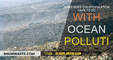Overpopulation's Impact: Ocean Pollution's Root Cause