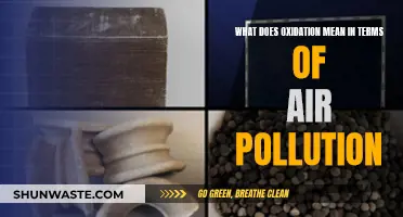 Oxidation and Air Pollution: Understanding the Process