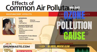 Ozone's Impact: Air Quality, Health, and Environmental Concerns