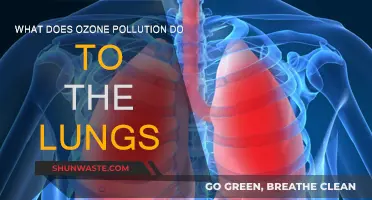Ozone Pollution: Damaging Our Lungs and Health