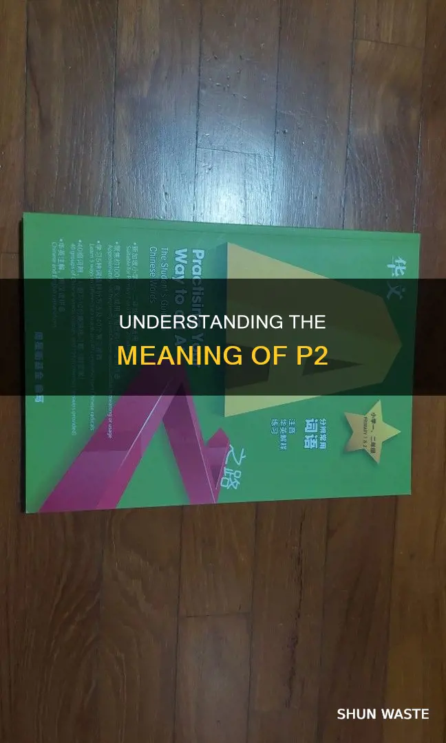 what does p2 mean