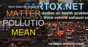 Particulate Matter Pollution: What's in the Air?