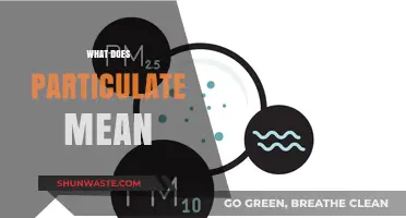 Understanding Particulate: What Does It Mean?