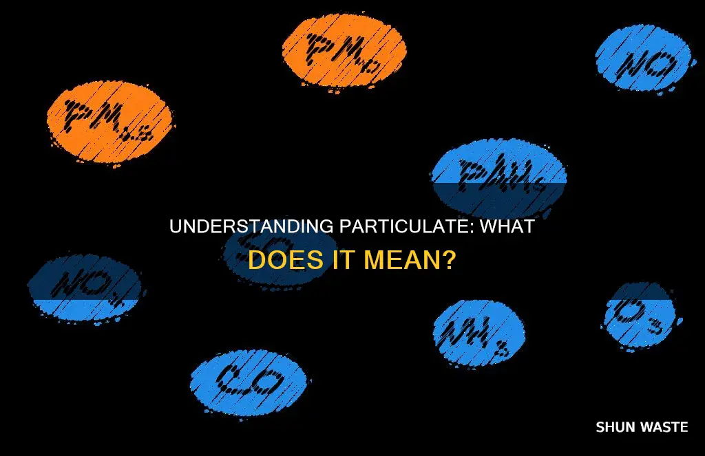 what does particulate mean