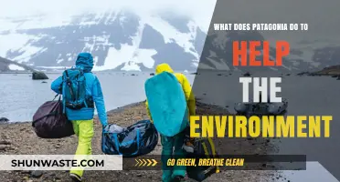 Patagonia's Environmental Impact: Sustainable Practices and Conservation Efforts
