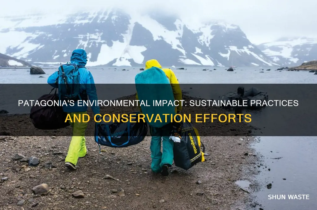 what does patagonia do to help the environment
