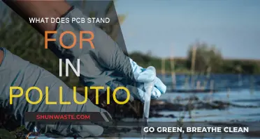 PCB Pollution: Understanding the Impact of Persistent Chemicals