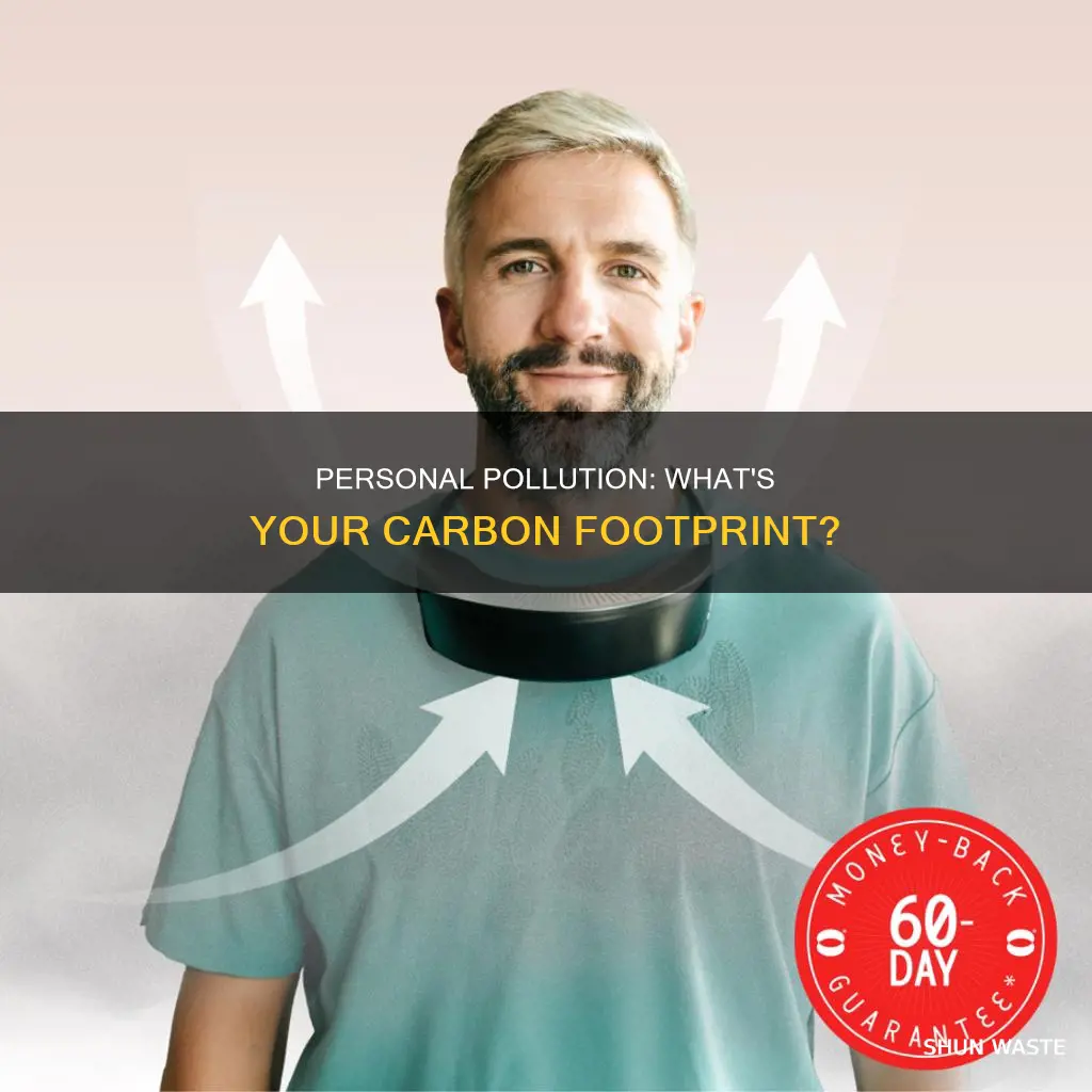 what does personal pollution mean