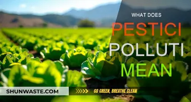 Pesticide Pollution: Understanding the Toxic Threat