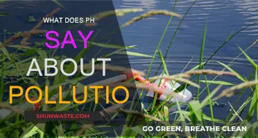 Understanding Pollution: The pH Factor