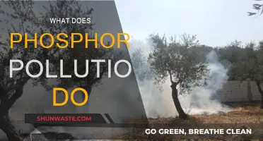 Phosphorous Pollution: A Toxic Threat to Nature