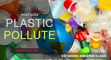 Plastic Pollution: A Global Crisis