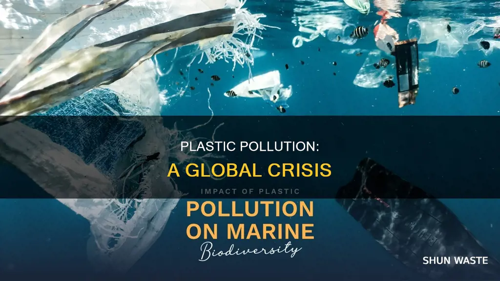 what does plastic pollute