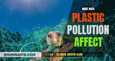 Plastic Pollution's Impact: A Global Concern