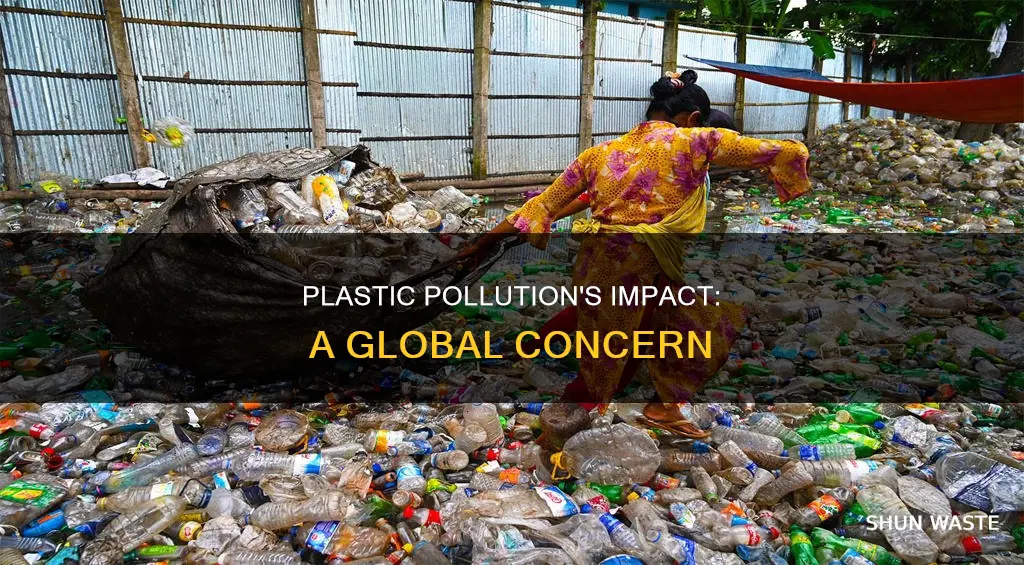 what does plastic pollution affect