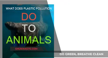 Plastic Pollution: Killing Animals, Destroying Nature
