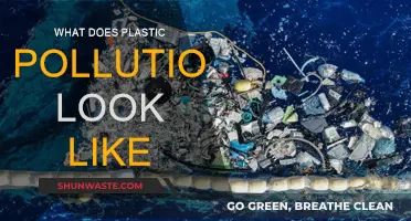 Plastic Pollution: A Visual Guide to the Crisis