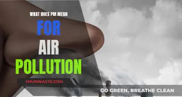Air Quality Alert: Understanding PM Pollution