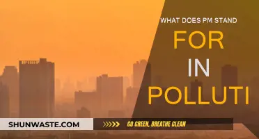 PM Pollution: What Does PM Stand For?