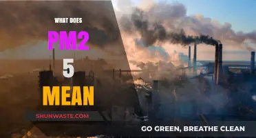 Understanding PM2.5: What Does It Mean?