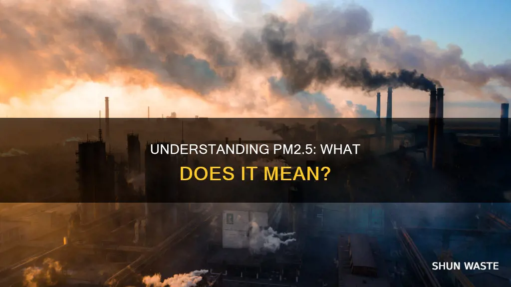 what does pm2 5 mean