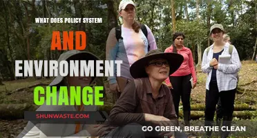 Transforming Policy Systems: Driving Environmental Change for a Sustainable Future