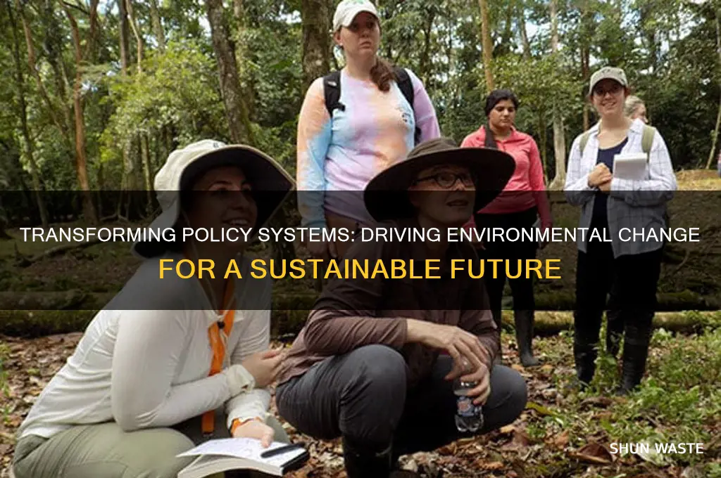 what does policy system and environment change