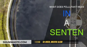 Understanding Pollutants: Definition and Impact