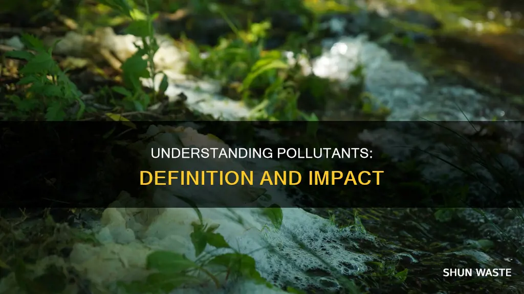 what does pollutant mean in a sentence
