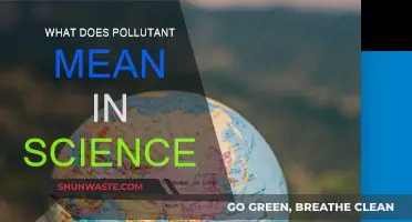Understanding Pollutants: Science of Contamination Explained