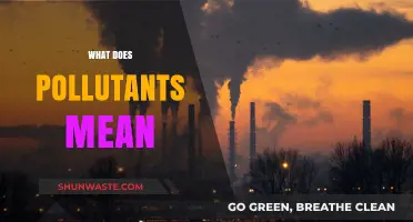 Understanding Pollutants: What Are They?