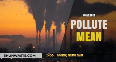Understanding Pollution: What Does Pollute Mean?