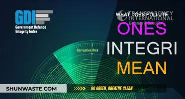 Integrity Pollution: What Does it Mean?