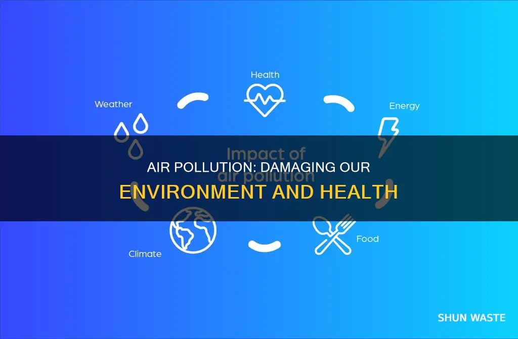 what does polluted air do to the environment