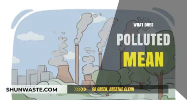 Understanding Pollution: What Does Polluted Mean?