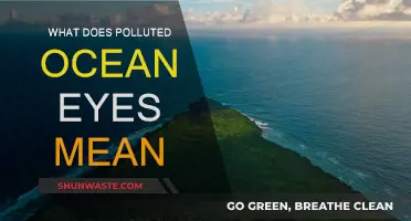 The Ocean's Eyes: Pollution's Impact