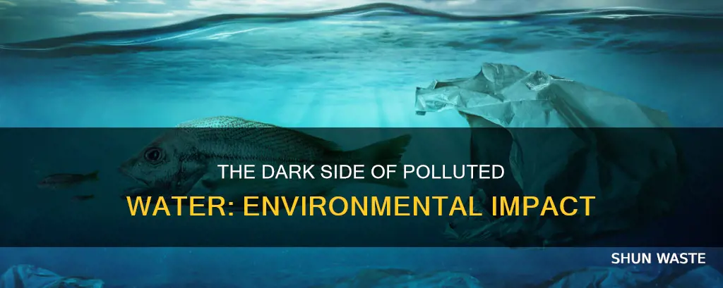 what does polluted water do to the environment