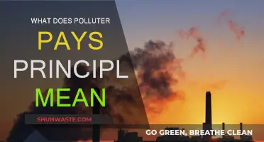 Polluter Pays Principle: Who Pays for Environmental Damage?