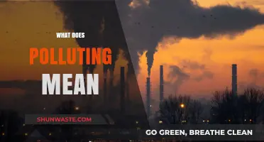 The Harmful Impact of Pollution: What Does it Mean?