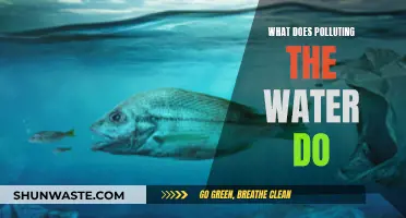 Water Pollution: A Threat to Life and the Environment