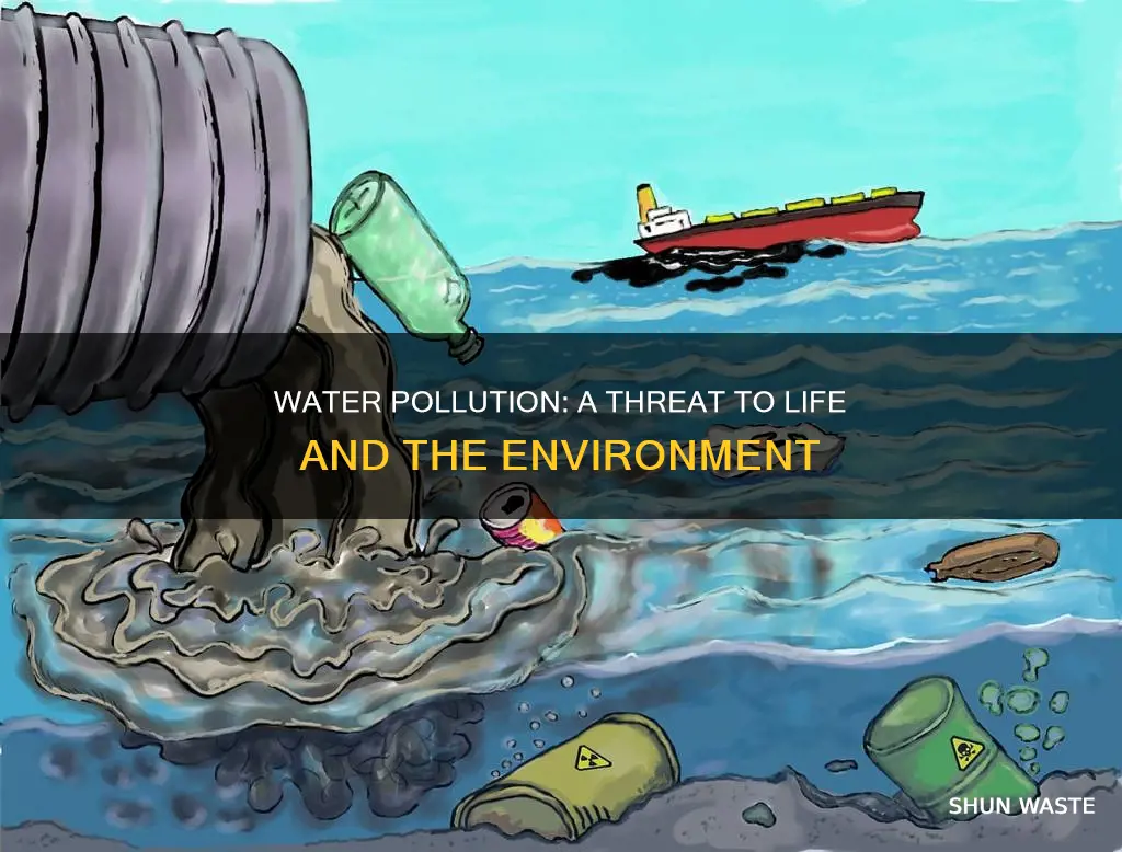 what does polluting the water do