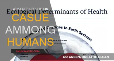 Human Health: Pollution's Devastating Impact